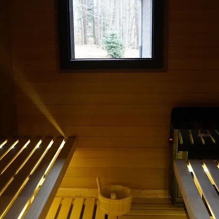 Tatil Evi Avec Bain A Remous Privatif, Piscine, Salle De Sport Et Aire De Jeux Au Bord Du Golf De Chambon - Fr-1-582-370